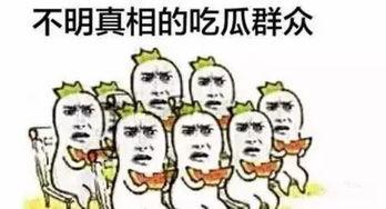 网民吃瓜状态,揭秘网络热议背后的真相