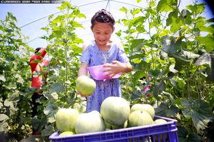 吃瓜群众探店,吃瓜群众带你直击美食现场