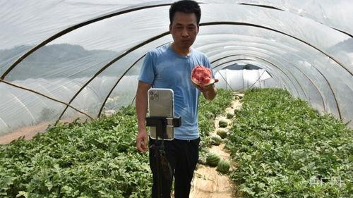 吃瓜带货视频,揭秘吃瓜视频背后的带货魅力