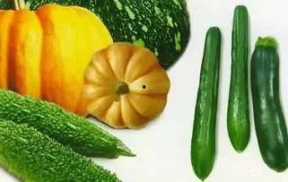 吃瓜号3,带你走进娱乐圈的幕后故事