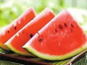 南宁体专吃瓜,揭秘校园吃瓜背后的故事