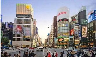 日本大楼中介吃瓜,吃瓜群众背后的神秘力量