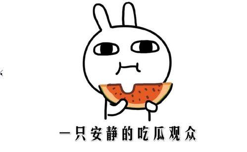 校园吃瓜事件有哪些,揭秘校园里的热点风波与幕后真相