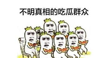 吃瓜群众小常,揭秘娱乐圈幕后故事