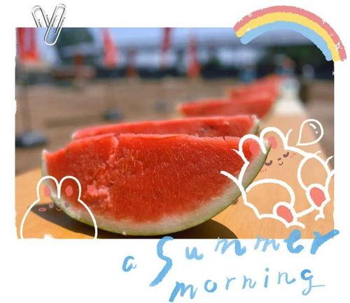 吃瓜现场一线吃瓜视频,吃瓜群众围观一线吃瓜视频，揭秘幕后真相