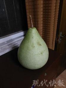 盐城高次吃瓜,揭秘网络热点的背后故事