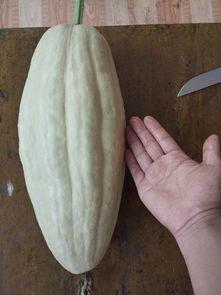 大瓜叶子 怎么吃,创意烹饪新体验