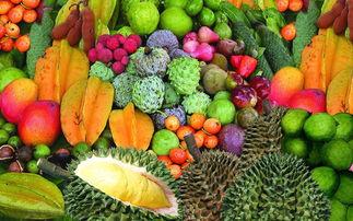 热拉吃瓜团2,揭秘娱乐圈背后的秘密与风云变幻