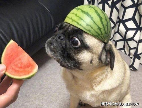 睡觉没空小号吃瓜,揭秘现代人的睡眠与娱乐生活