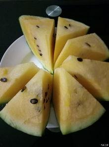 国外吃瓜论坛,国外吃瓜论坛盘点