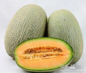 蟑螂吃哈密瓜,哈密瓜成新宠