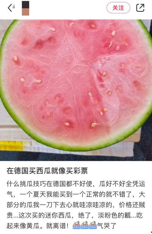 为什么吃瓜要吃完再吃