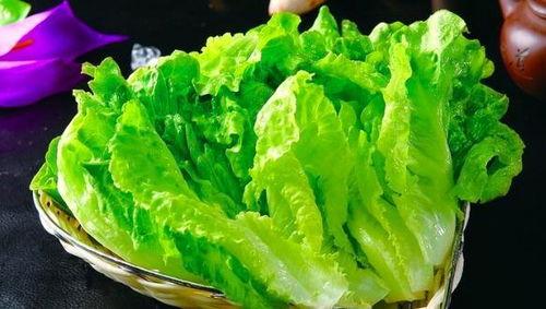 吃瓜网站程女士,吃瓜网站背后的故事与真相