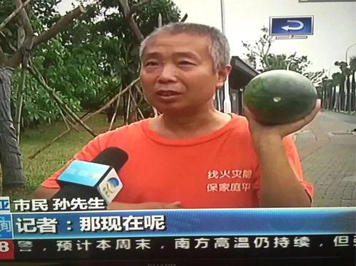 热门事件吃瓜出轨,揭秘热门事件背后的出轨真相