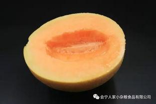 甘肃会宁吃瓜,甘肃会宁特色美食之旅