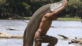 吃瓜群众鱼块,网络红人的崛起之路