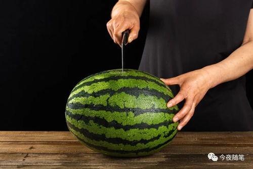 什么叫吃瓜落,网络热词背后的文化现象