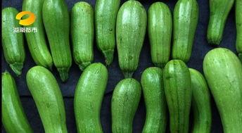 玉兰瓜不能随便吃