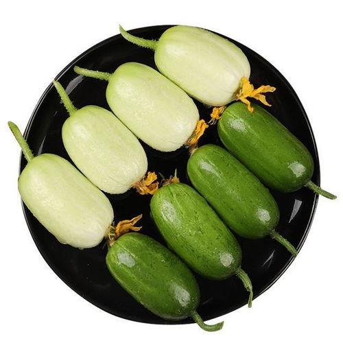 太阳下葫芦瓜怎么吃,太阳下葫芦瓜的多样食法探索