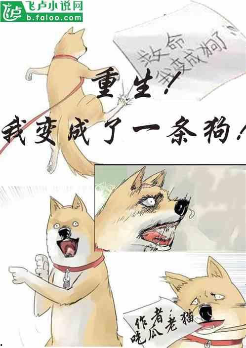 吃瓜细作小说在线阅读,揭秘小说世界背后的秘密