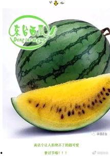 微信吃瓜有哪些,揭秘网络舆论场中的热点事件