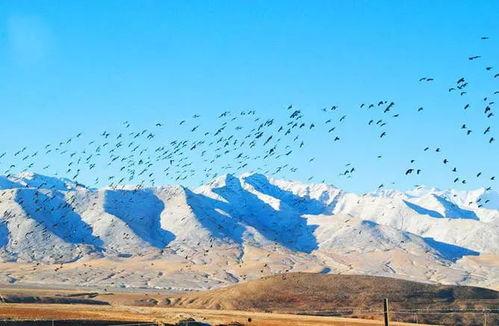 半城烟沙吃瓜,吃瓜群众眼中的繁华背后