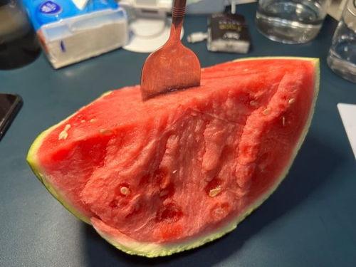 瓜吃西瓜拍照,趣味拍照，西瓜界的奇妙邂逅